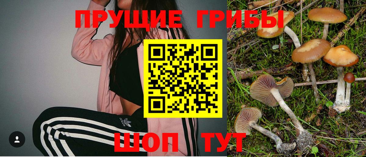 Каменск-Уральский  Псилоцибиновые грибы Cubensis  Вход с VPN 