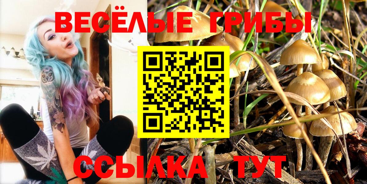 Псилоцибиновые грибы Magic Shrooms Каменск-Уральский